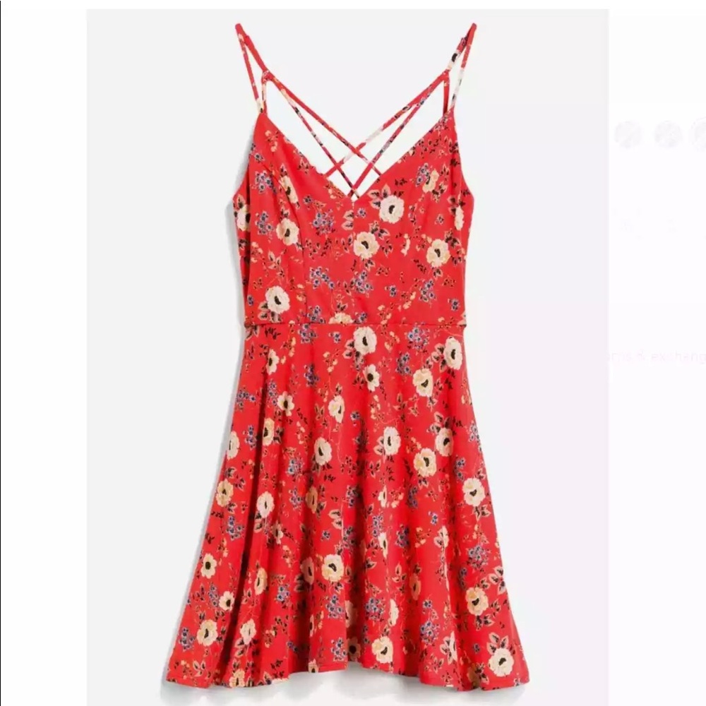 Nine Britton Lizzy Brushed Knit Red Floral Dress Size Small
